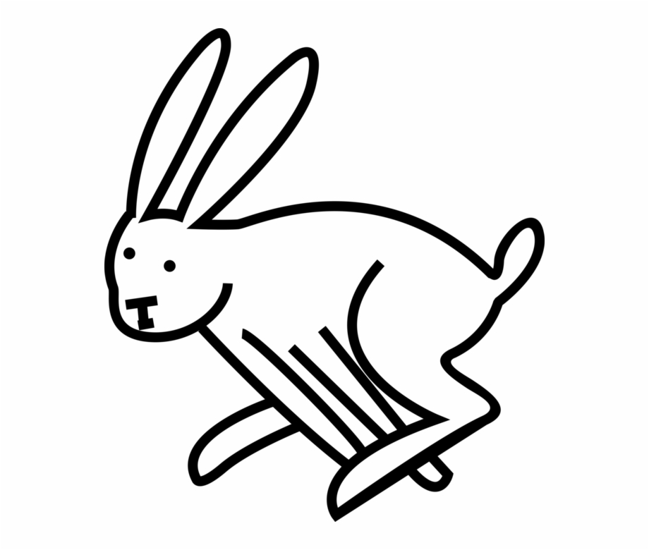 Vector Illustration Of Small Mammal Bunny Rabbit