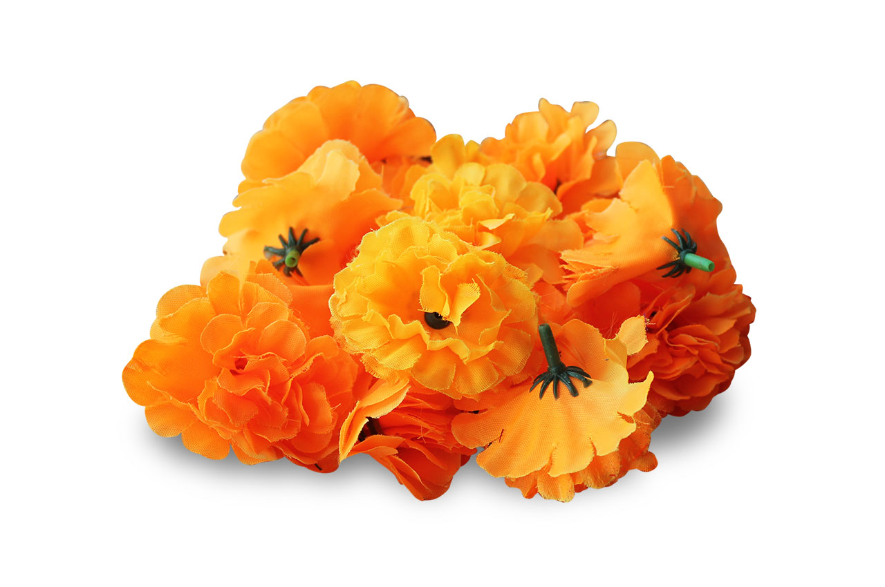 Marigold Flower Png