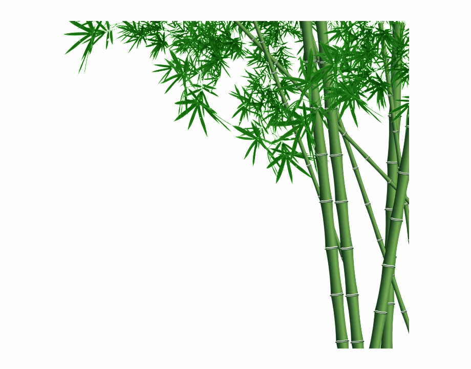 Bamboo Forest Transparent Bamboo Design