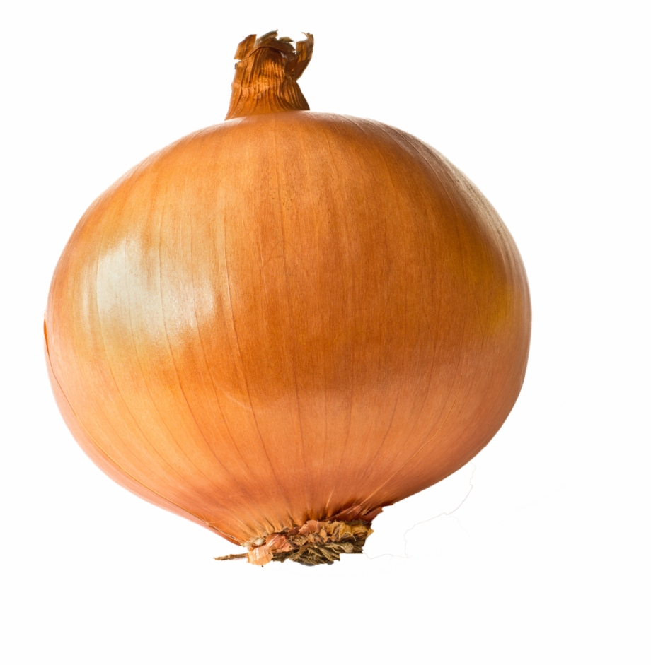 Free Images One Onion