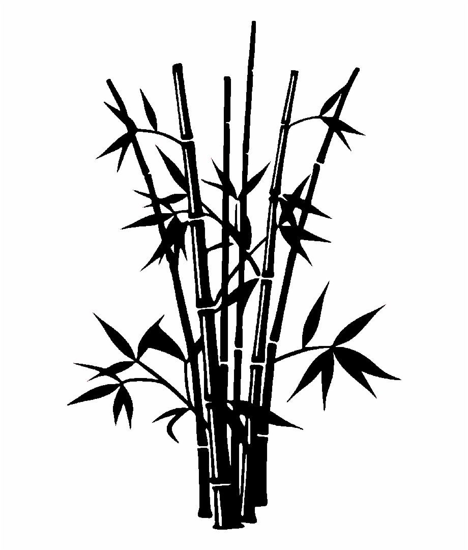 Bamboo Drawing Silhouette Bamboo Silhouette Png