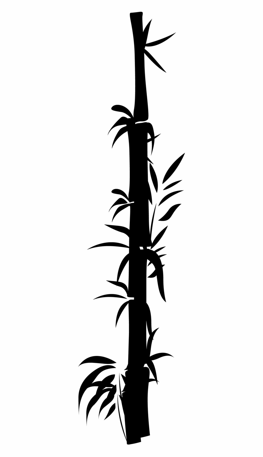 Oriental Bamboo Decal Black And White Bamboo Border