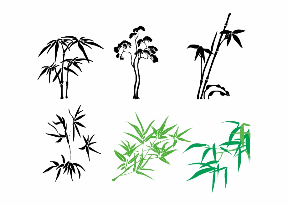 Bamboo Vector Illustrator Vector Graphics