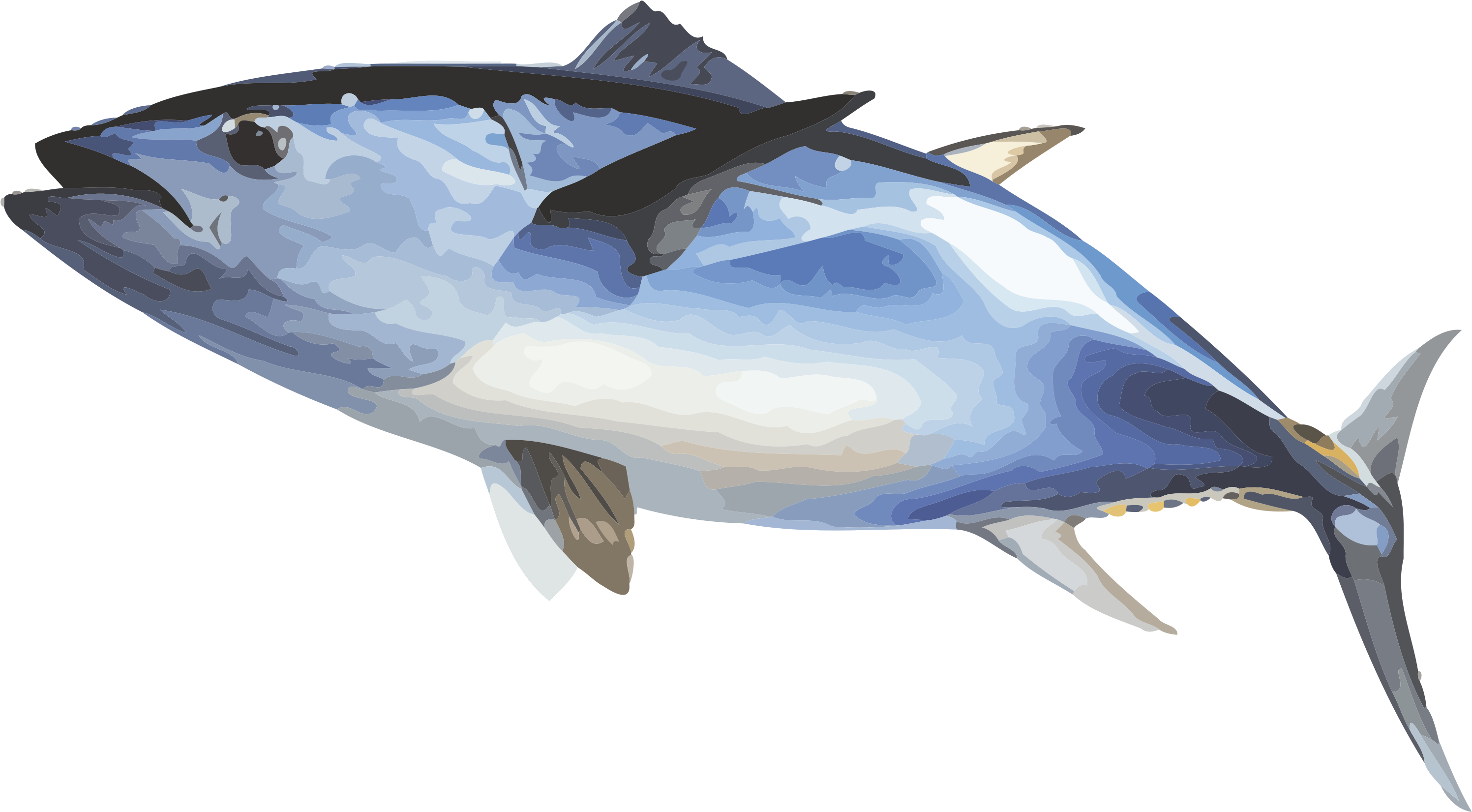 Fish Ecosia Inewconcom Your Transparent Background Tuna Png