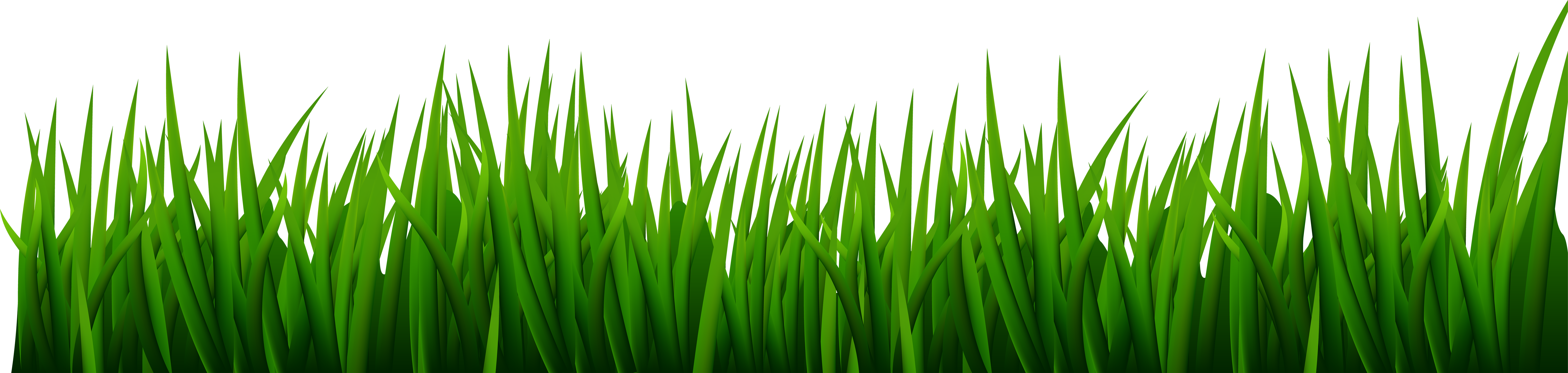 Green Lawn Green Grass Line Art
