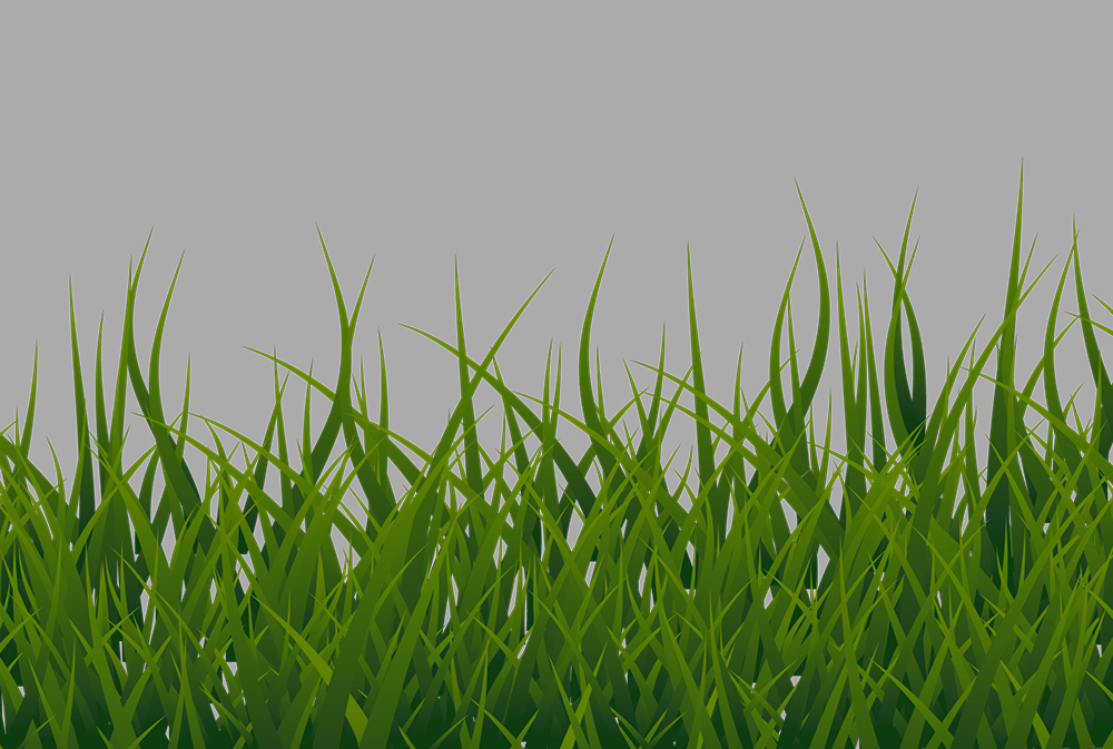 Artificial Grass Silk35 Grass Clipart Transparent Background