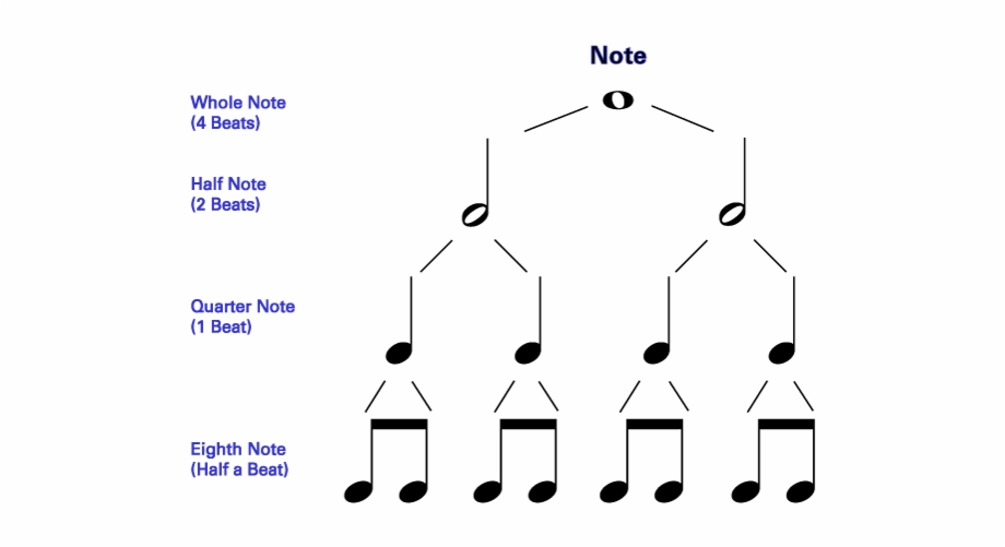 Notes Rhythms And Rests Symbol For Whole Note