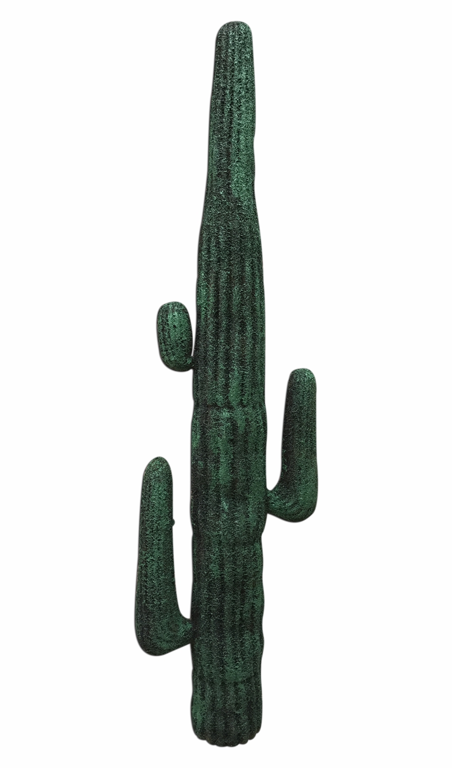 Cactus San Pedro Cactus