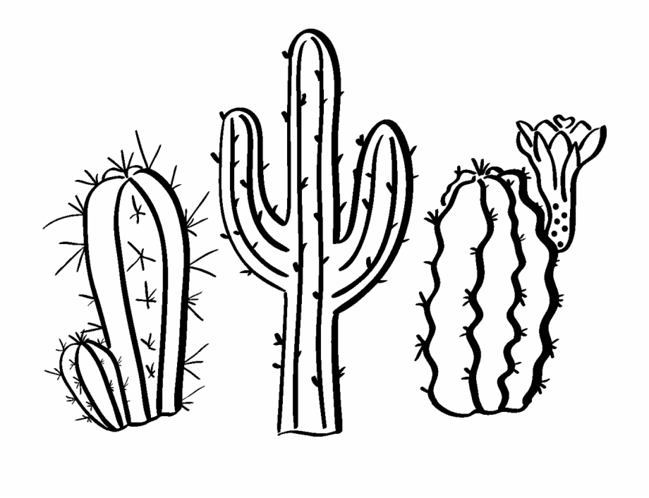 Sticker Boheme 3 Cactus Du Desert Ambiance Sticker