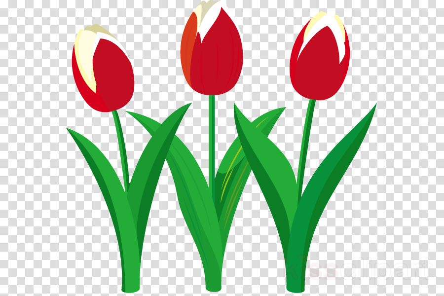 Tulip Clipart Tulip Flower Clip Art Sprengers Tulip