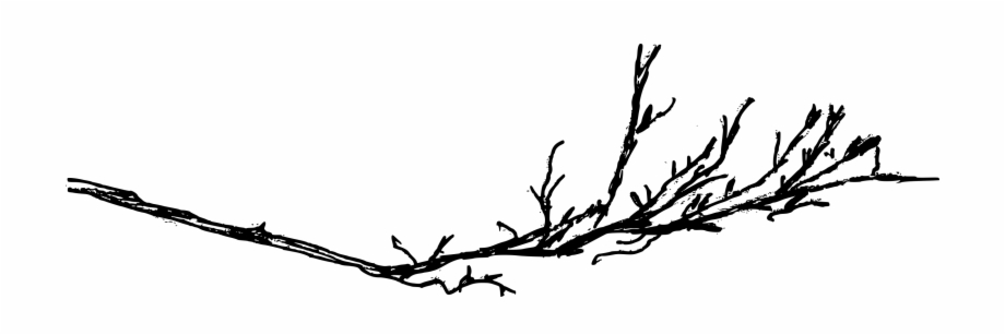 Free Download Cartoon Png Tree Branch