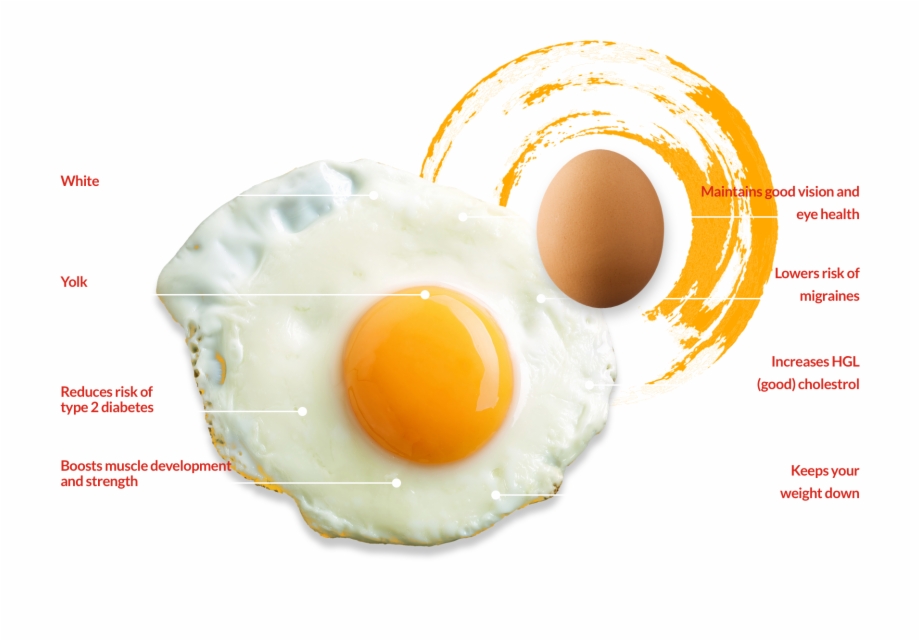 Contacts Fried Egg