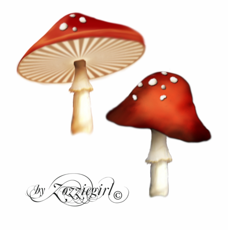 Free Icons Png Magic Mushroom Transparents