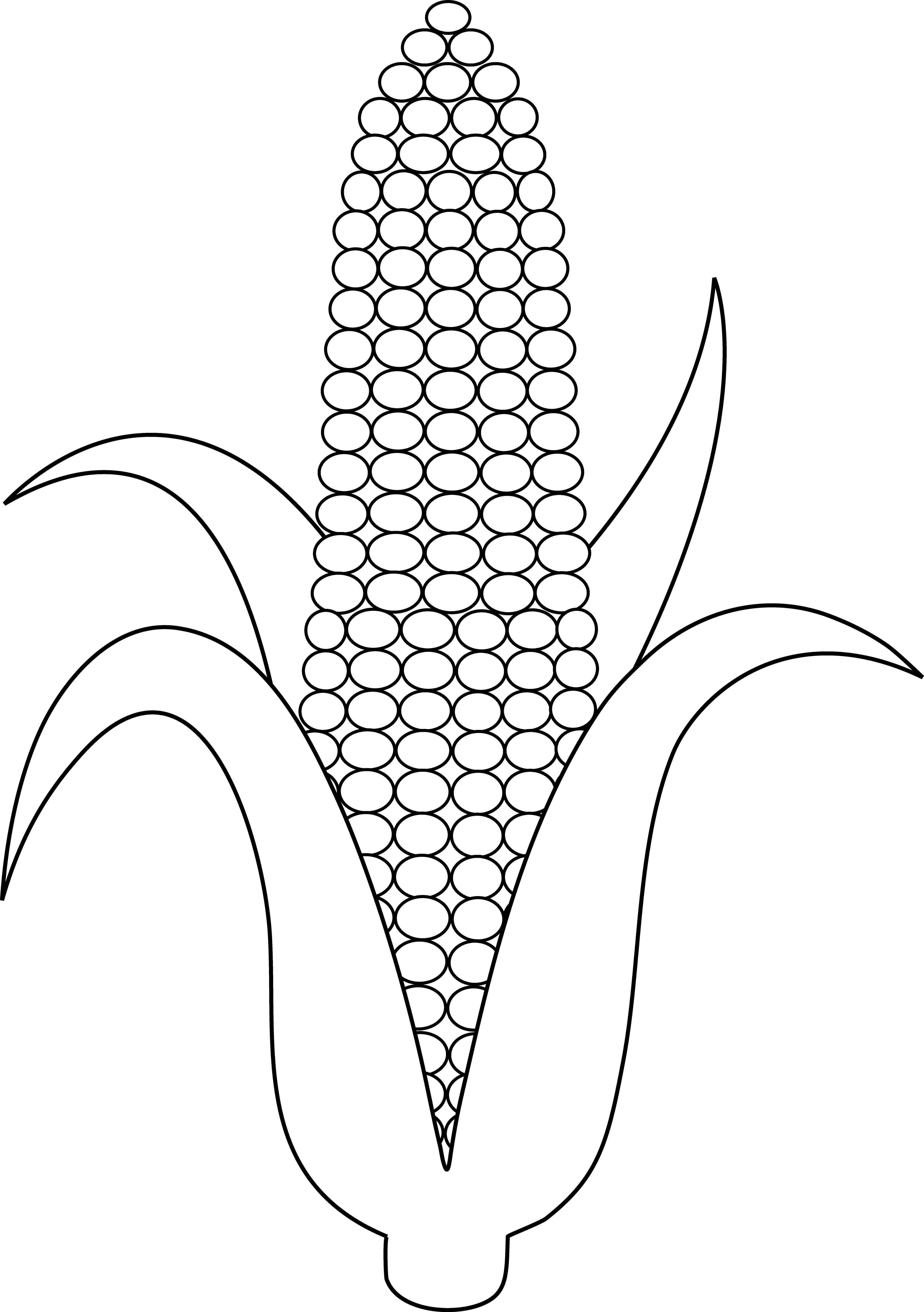 Cornucopia Drawing Outline Black And White Corn Clip
