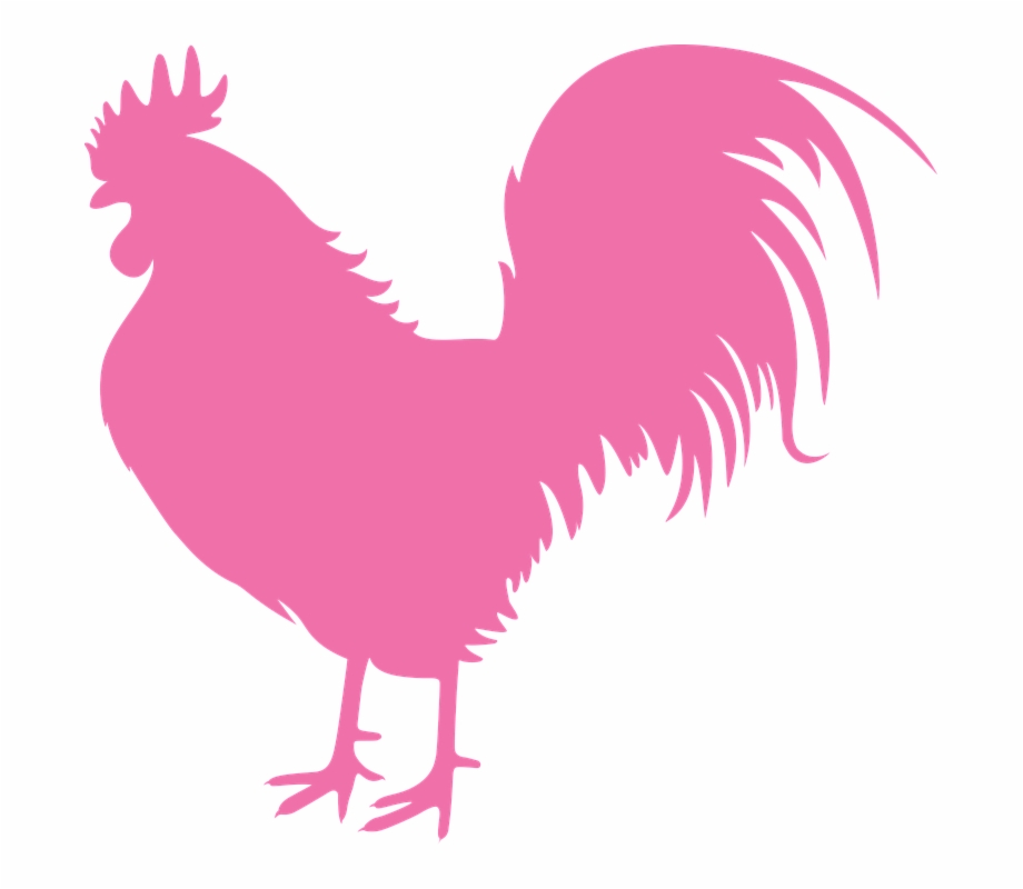 Cock New Year Vector Symbol Pink Vector Drawing