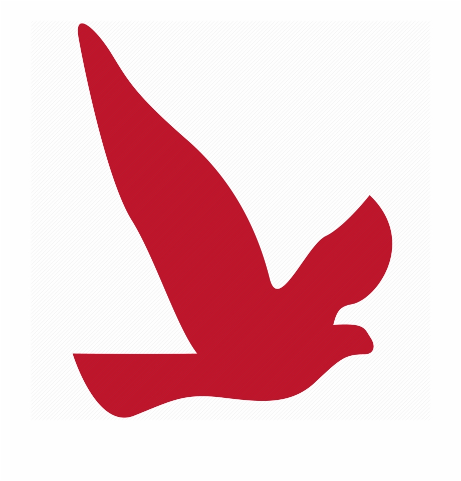 Bird Icon Png Red Bird Icon Png