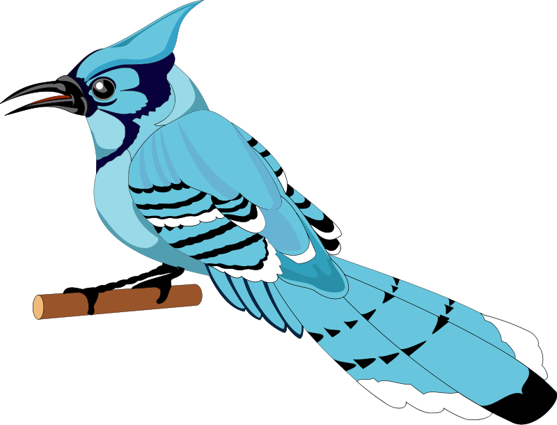 Bird 21 Free Vector Blue Jay Clipart Png