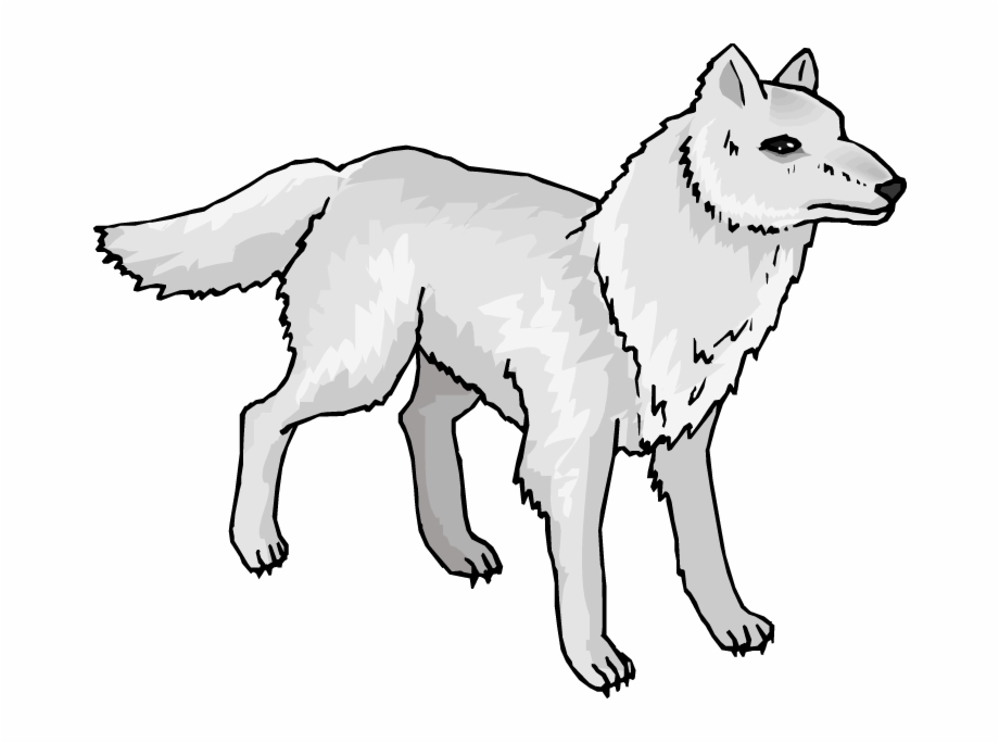 Arctic Wolf Clipart Pertaining To Wolf Clipart Arctic