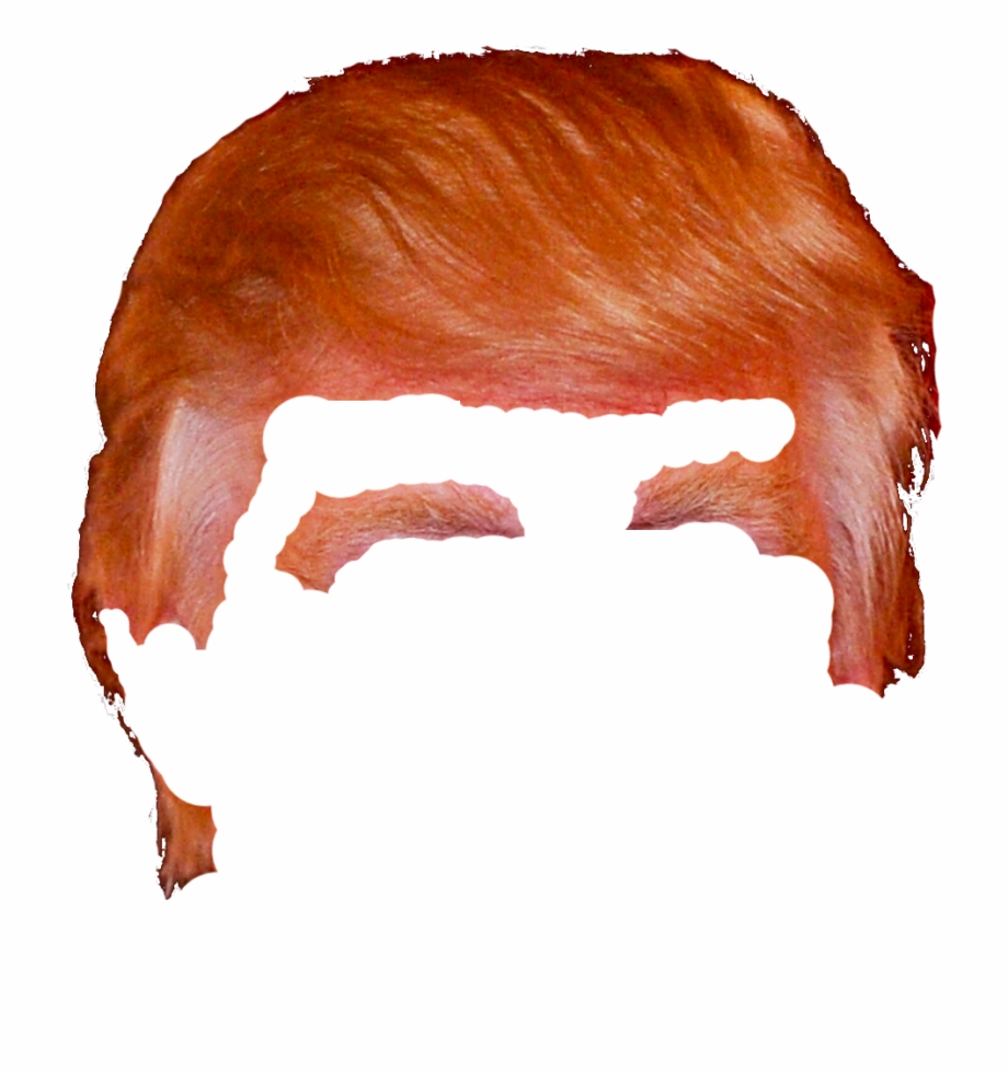 Donald Trump Hair Png Donald Trump Hair Png