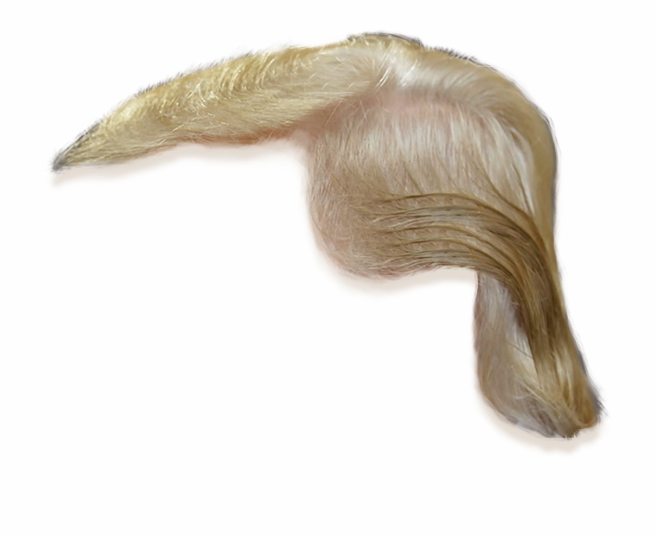 Donald Trumps Hair Transparent