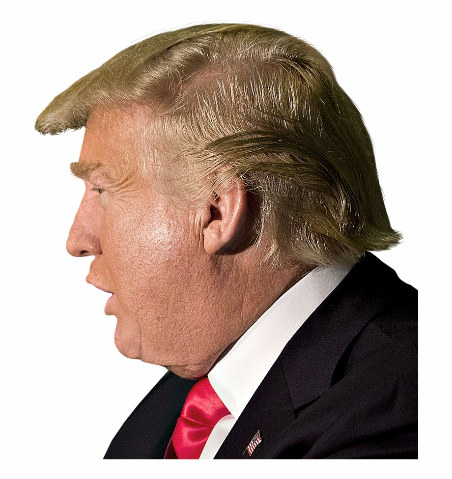 Donald Trump Side View Png