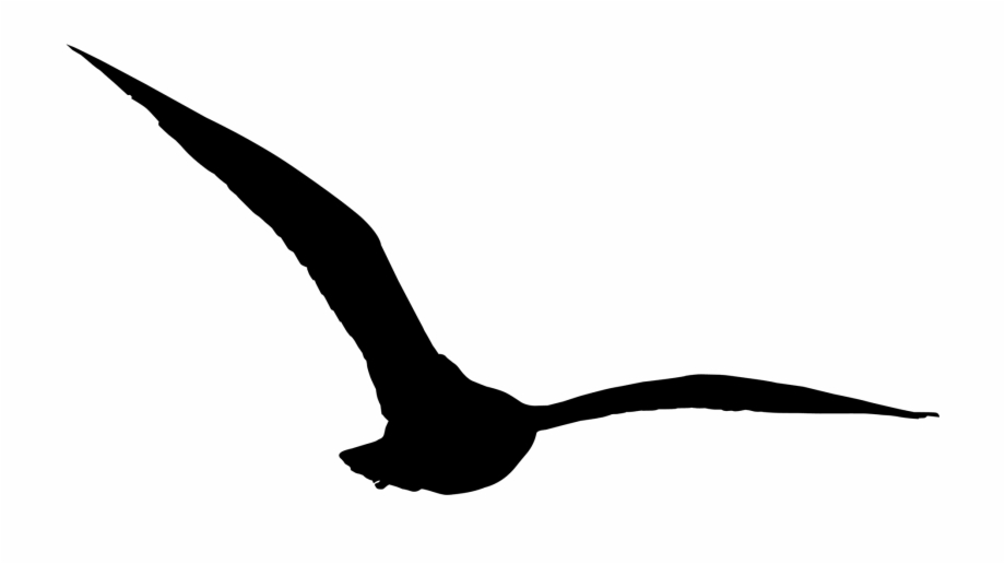 Bird Silhouette Png Dinosaur Bird Silhouette Png