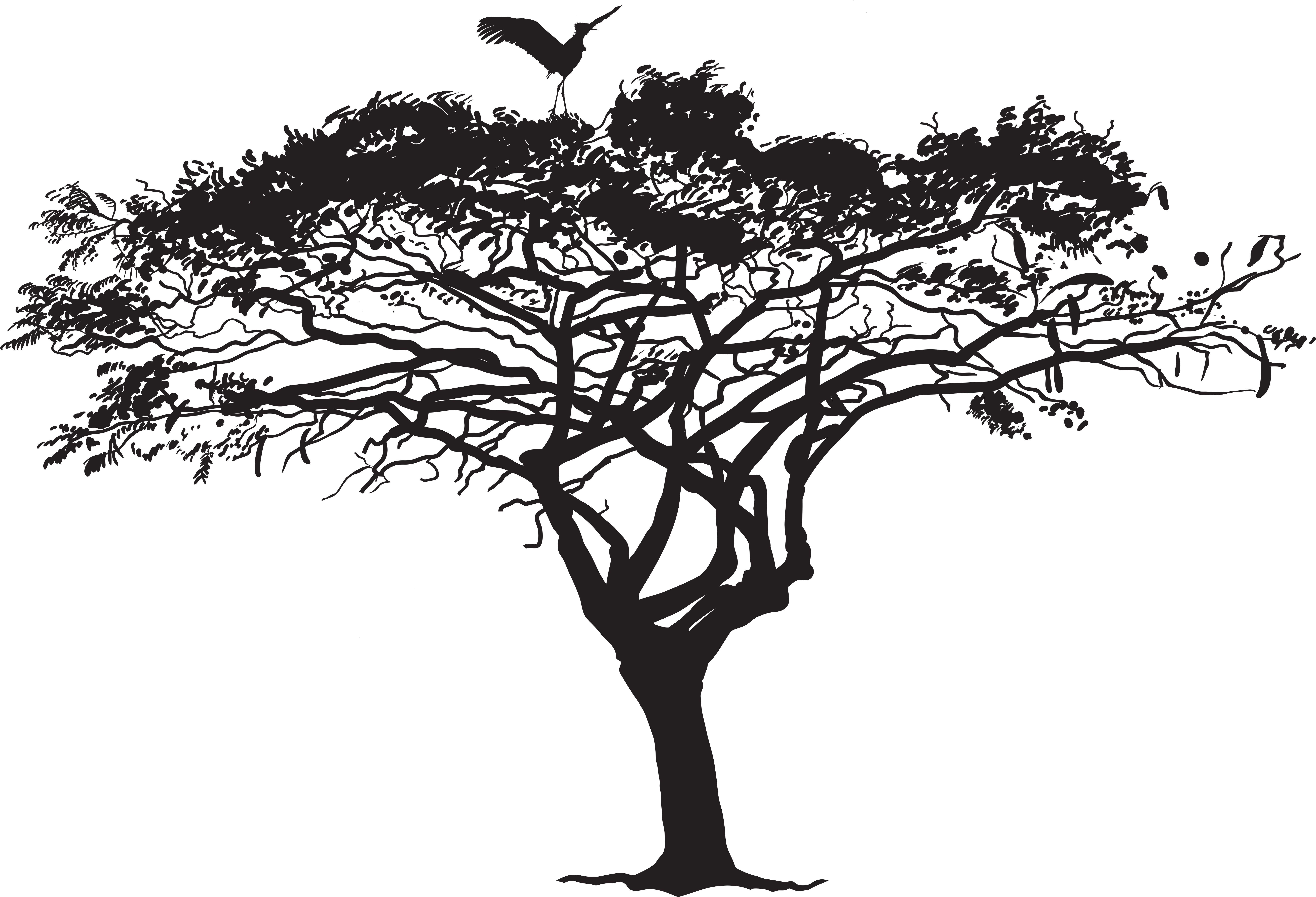 african tree silhouette png
