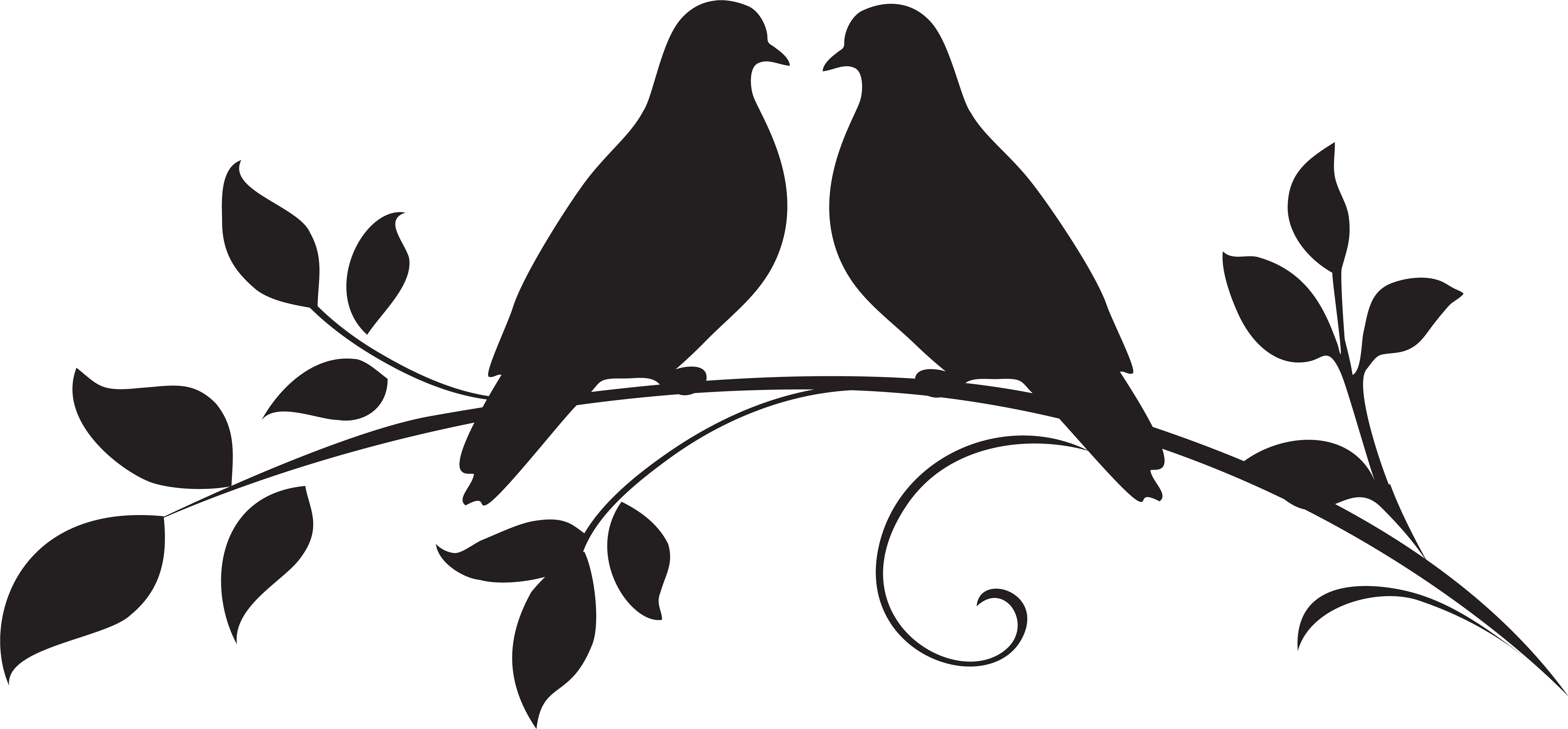 love birds clipart black and white
