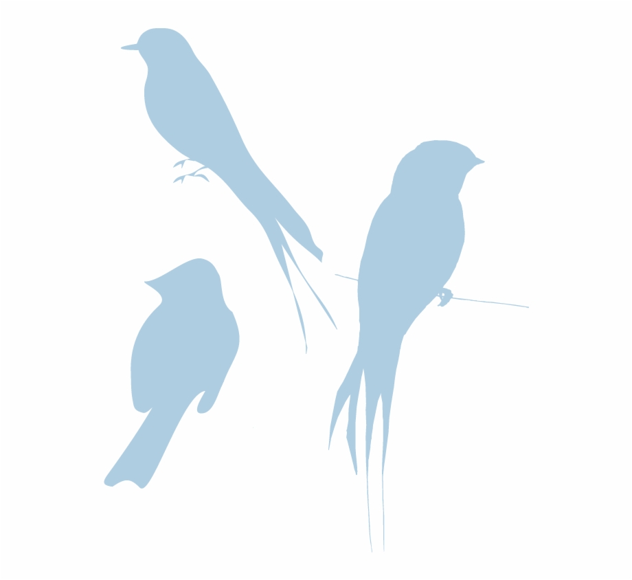 Blue Silhouette Birds Look So Bird Clipart Transparent