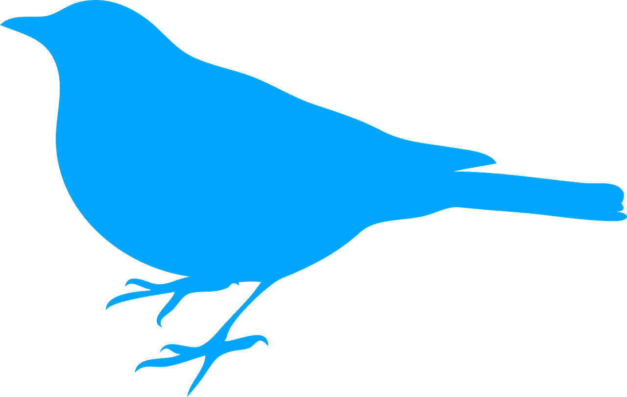 Bird Blue Silhouette Png Image Bird Silhouette Clip