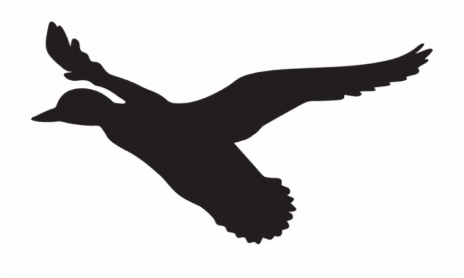 Flying Duck Silhouette Png Png Download Flying Duck