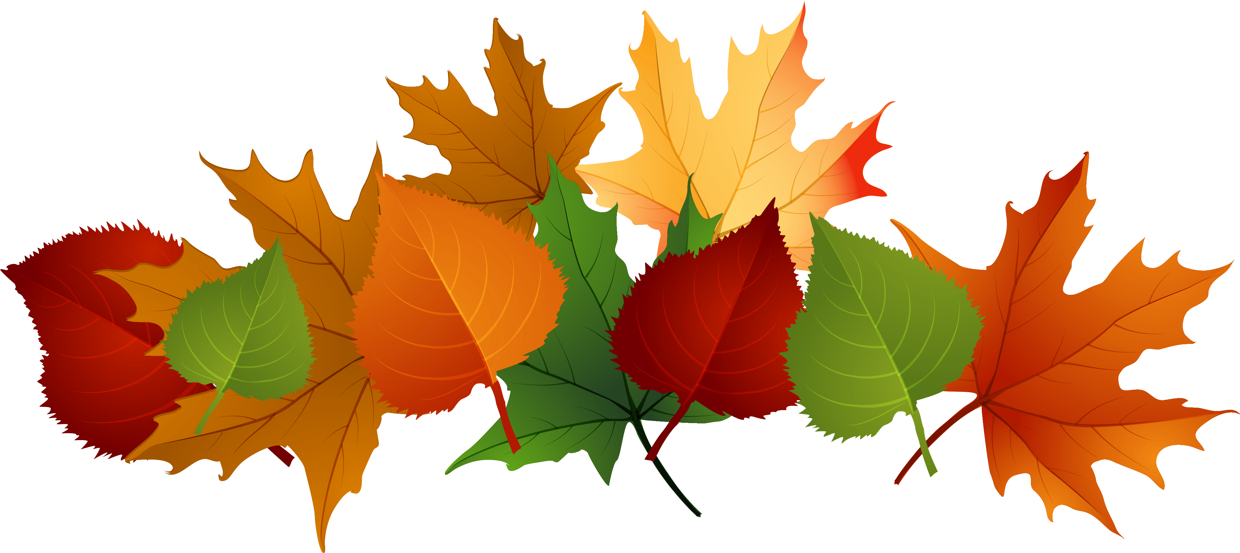 autumn leaves clipart transparent background
