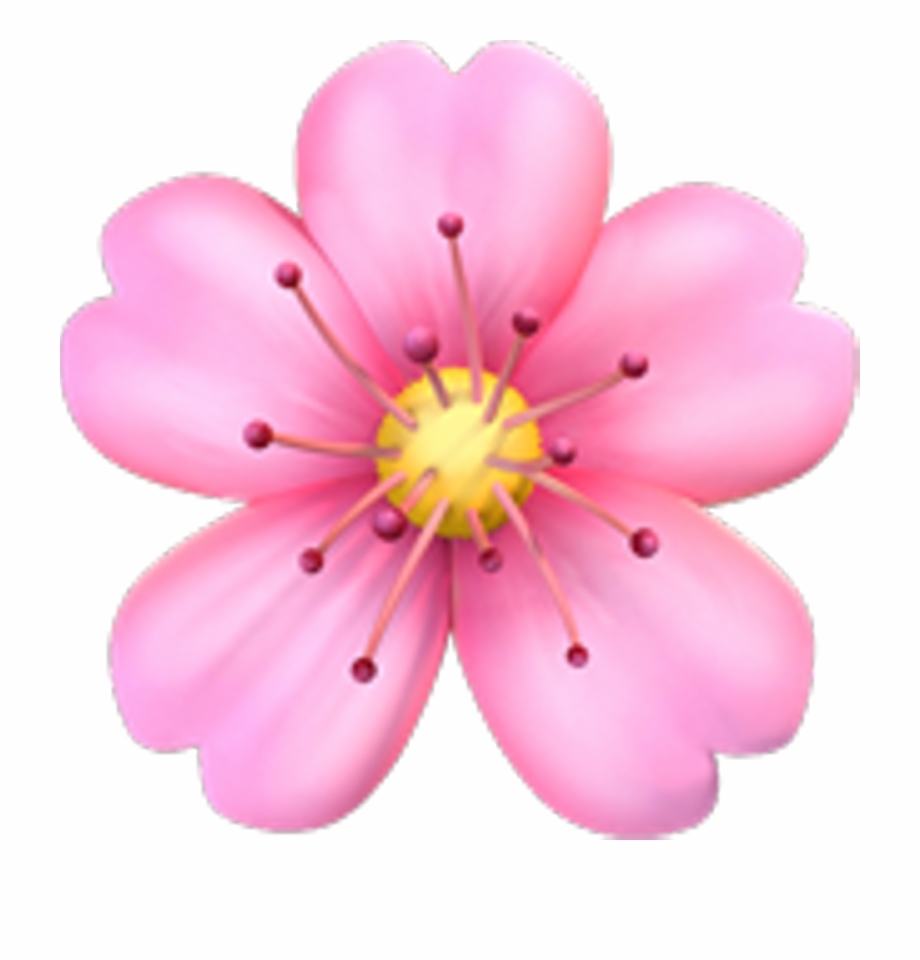 Flowers Png Tumblr Cherry Blossom Emoji