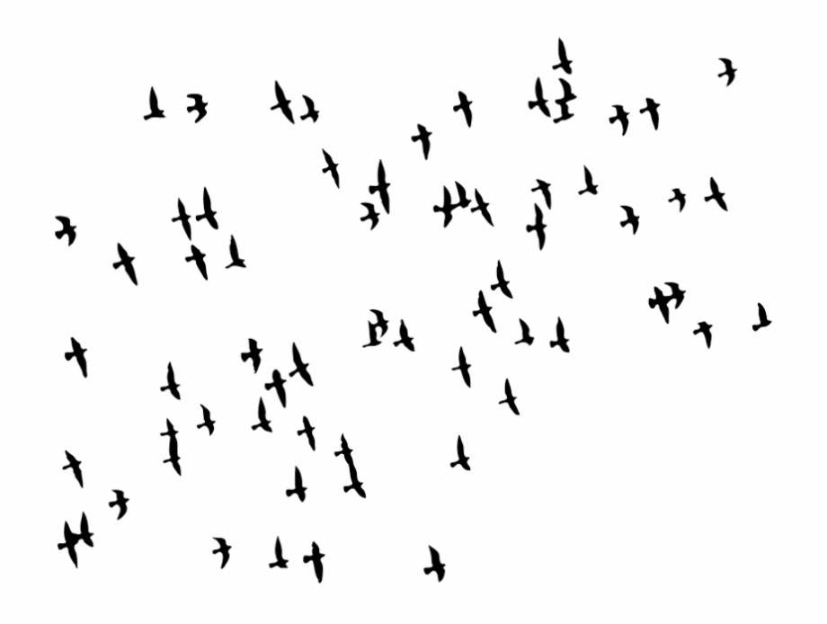 Flock Of Birds Png