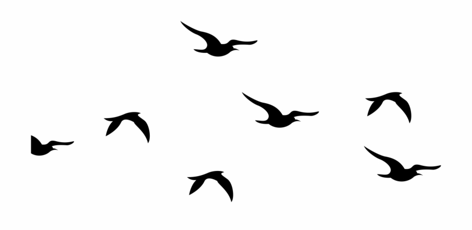 Flying Birds Clipart Silhouette