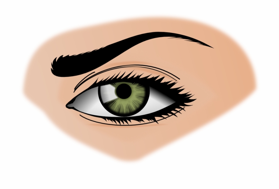 Eyeball Clipart Png Realistic Eye Clipart Png