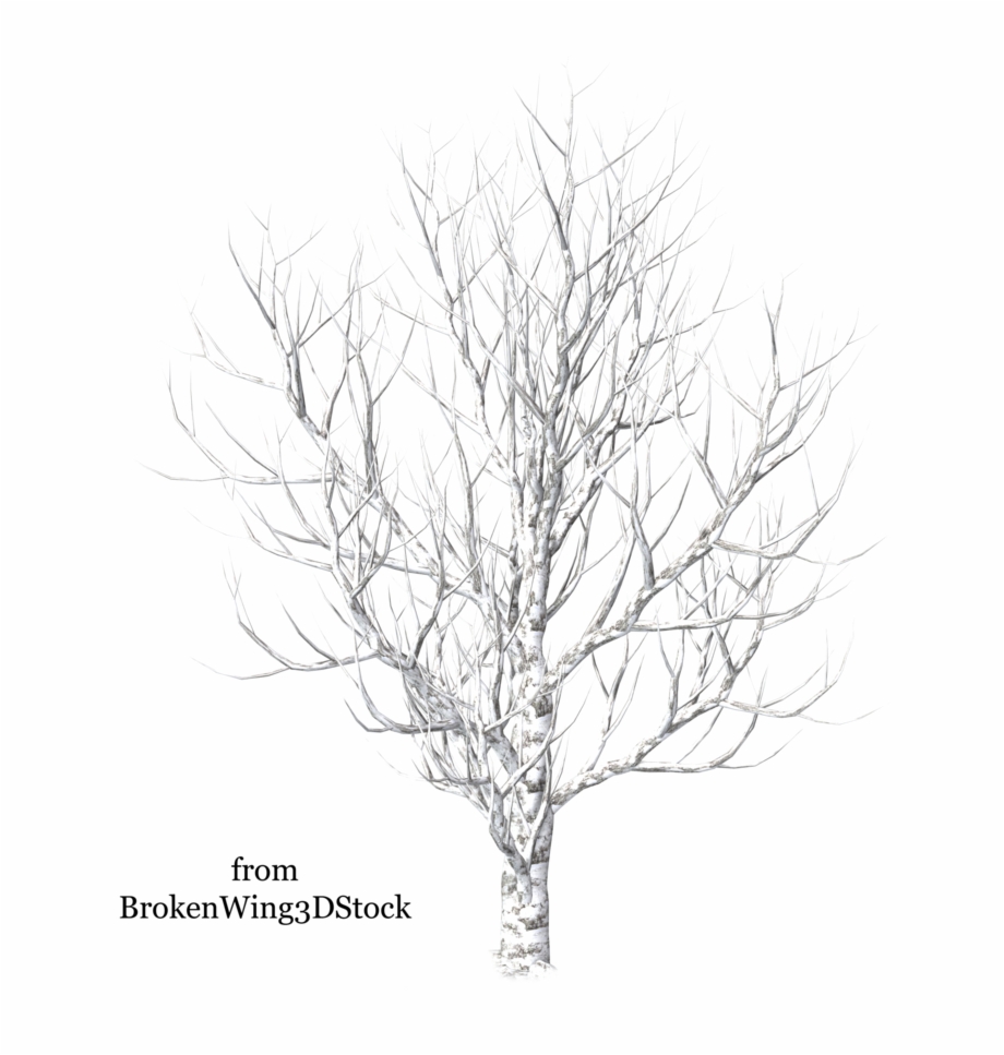 Winter Trees Drawing Tree