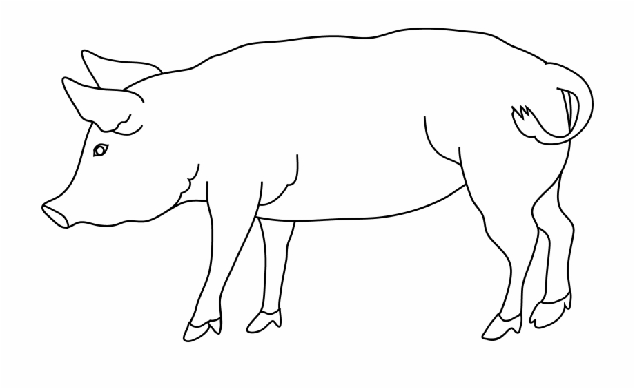 pig clipart black and white
