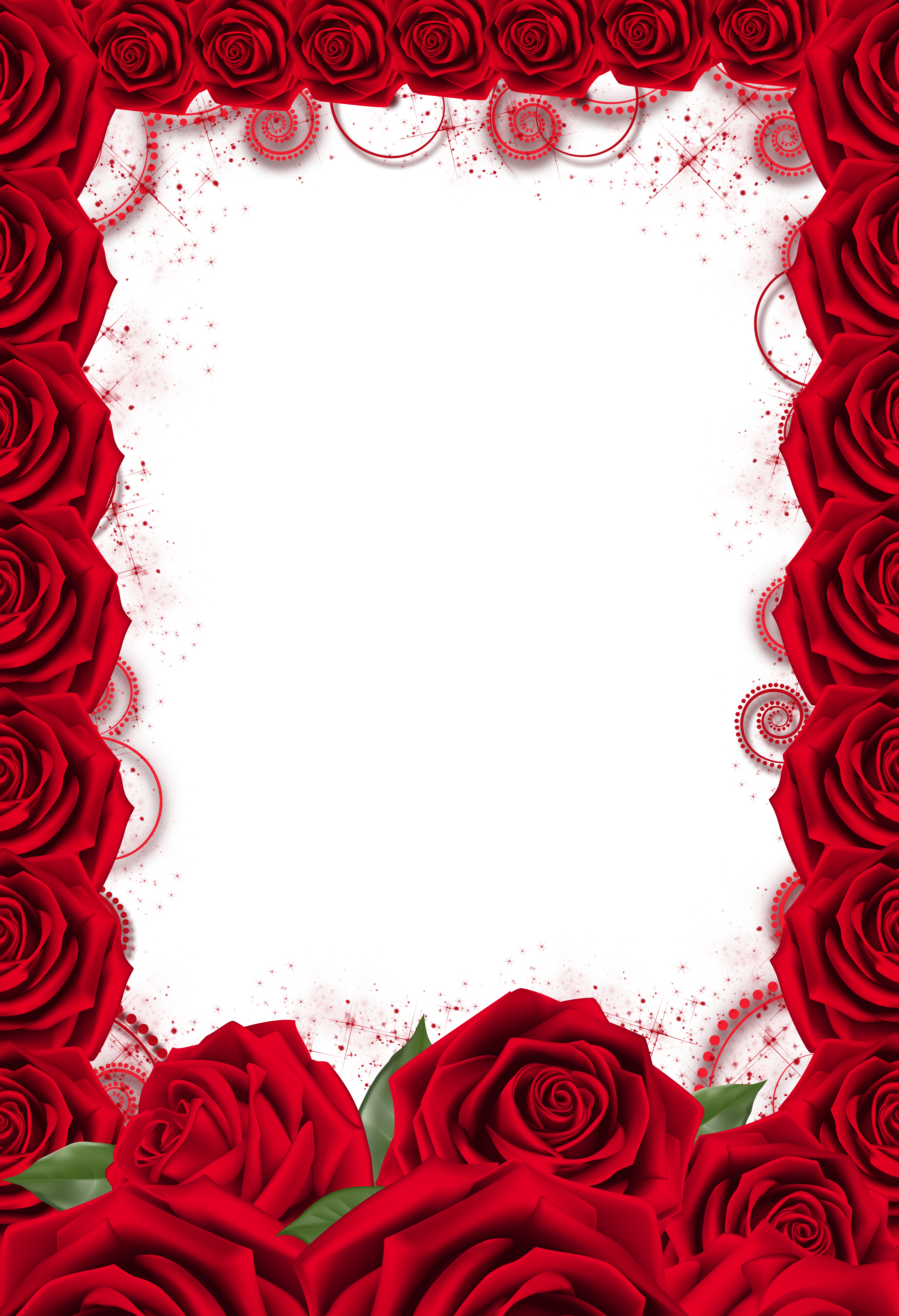 Red Rose Frame Gallery