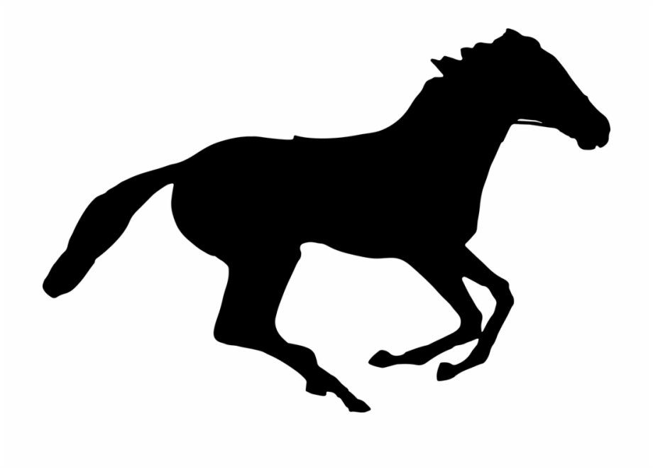 Animal Equine Horse Ride Silhouette Running Horse Silhouette