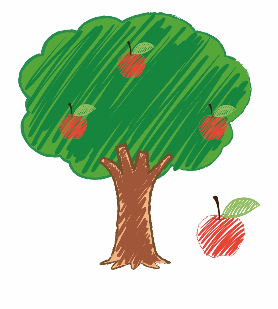 Tree Drawing Png Drawing Apple Tree