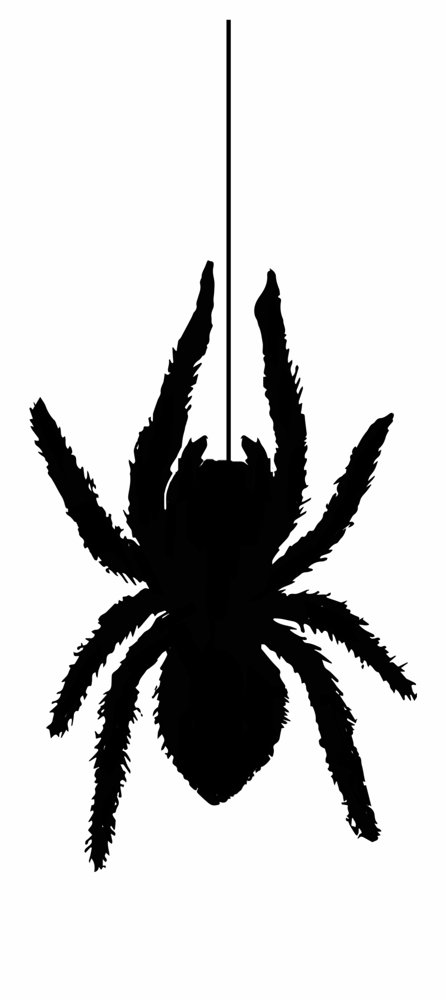 Spider Silhouette1353 Free Vintage Clip Art Tarantula