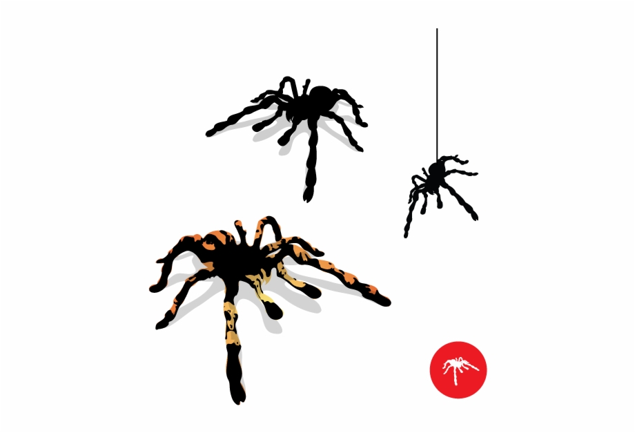 Tarantula Silhouette At Clipart Spider Vector Free