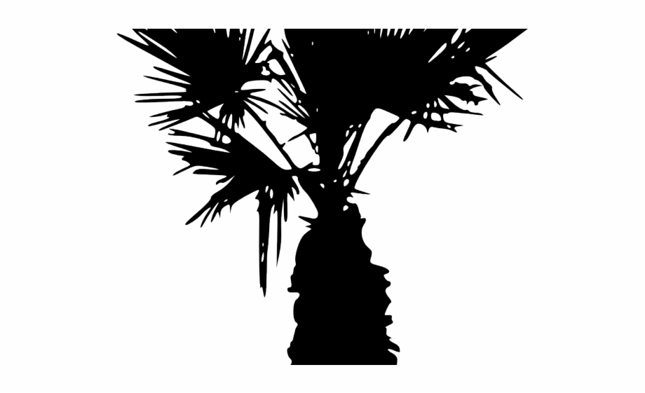 Palm Tree Silhouette Silhouette