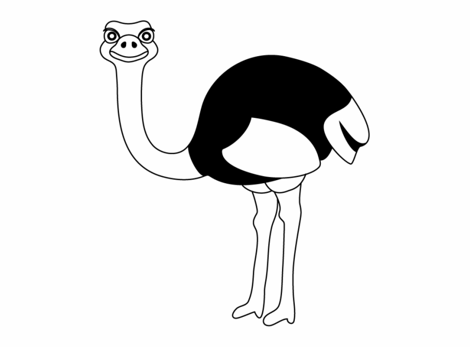 Ostrich Clipart Black And White