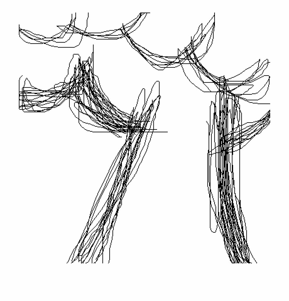 Sketch Tree Line Art