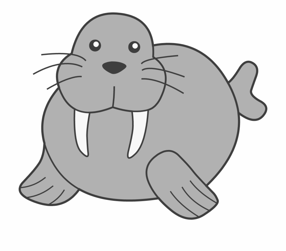Walrus Png Image Walrus Clipart