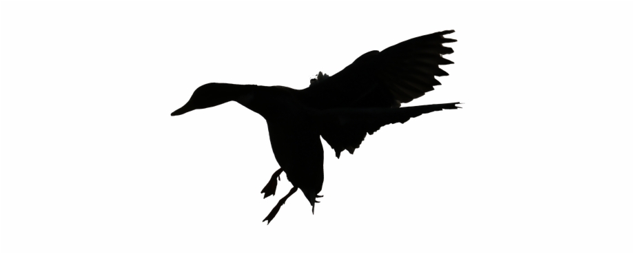 flying duck clip art