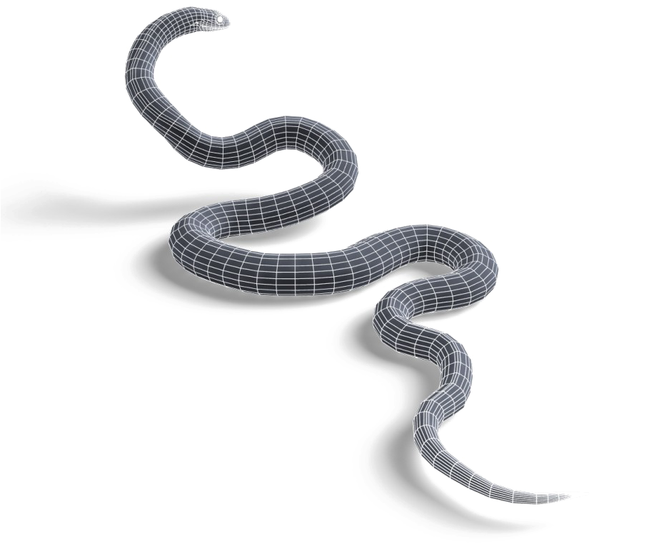 Black Mamba Snake Transparent Image Racer