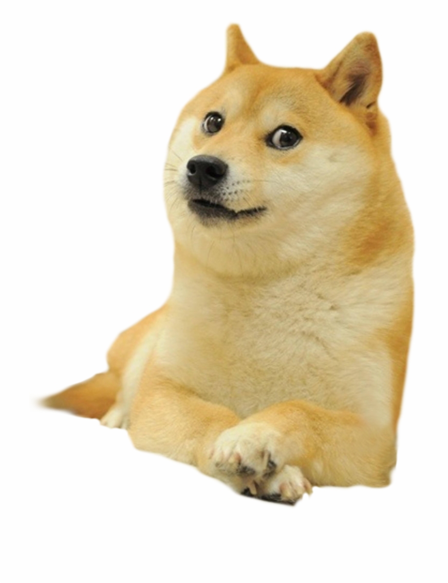 Novadoge Doge Meme Transparent